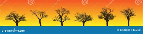 tree silhouettes stock vector illustration  bark nature