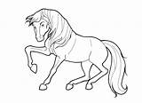 Coloring Pages Stallion Horse Miniature Getdrawings Printable Getcolorings Spirit Colorings sketch template