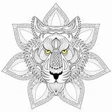Mandala Tiger Vector Illustration Tige Zentangle Face Coloring sketch template