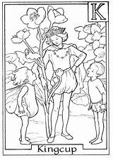 Fairies Kingcup Coloriage Fee Cicely Barker Coloringhome Adults Malvorlage Färbung Imprimer Coloringfolder sketch template
