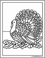 Turkey Coloring Pages Tom Printable Realistic Wild Detailed Thanksgiving Leaves Colorwithfuzzy sketch template