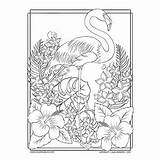 Flamingo Summer Coloring Pages Tropical Flowers Flower Choose Board Coloringbliss Bird Detailed sketch template