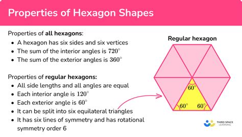 hexagon shape gcse maths steps examples and worksheet