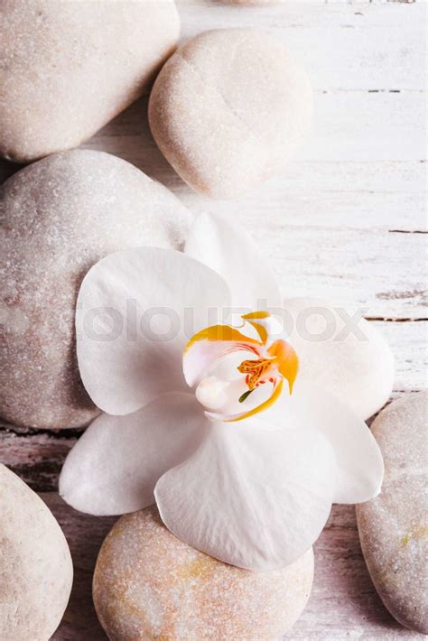 orchid spa concept stock image colourbox