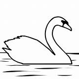 Swan Clipart Clip Cliparts Library sketch template