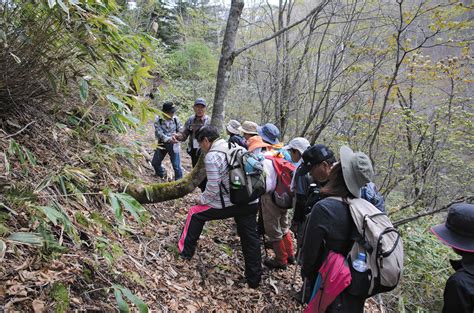 Hike Goshikigahara Forest With A Local Guide National Parks Of Japan