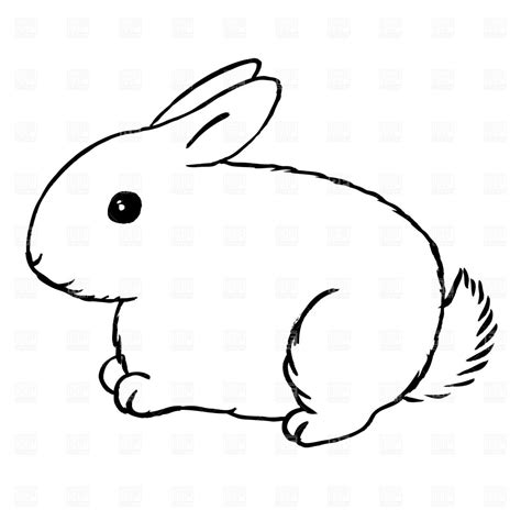 bunny  plants  animals  royalty  vector clipart