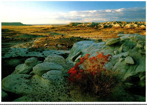 arizona petrified forest national park jasper forest  sunset united states arizona