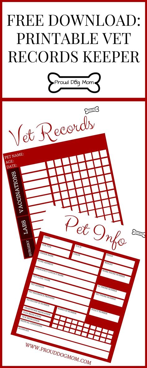 printable vet records keeper diy dog stuff pet health