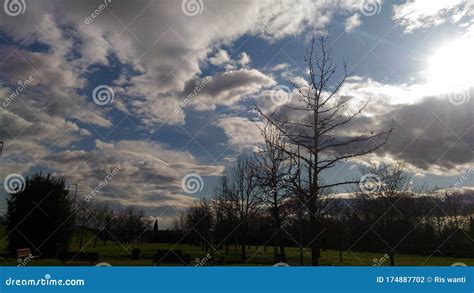 landscape  sceneric sky stock photo image  italian grass