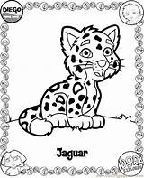 Coloring Pages Diego Jaguar Go Baby Kids Printable Color Print Sheet Animals Dora Cute Coloriage Tiger Kleurplaat Fun Sheets Cartoons sketch template