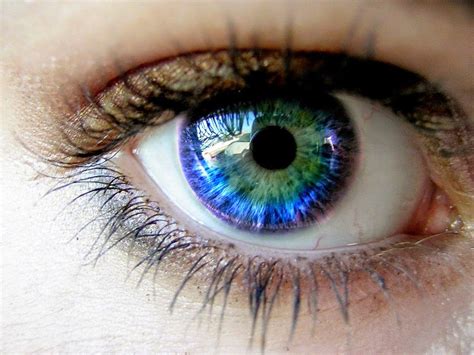 human eyes   color   simply amazing