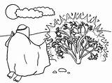 Bush Burning Moses Coloring Pages Printable Color Netart Getcolorings sketch template