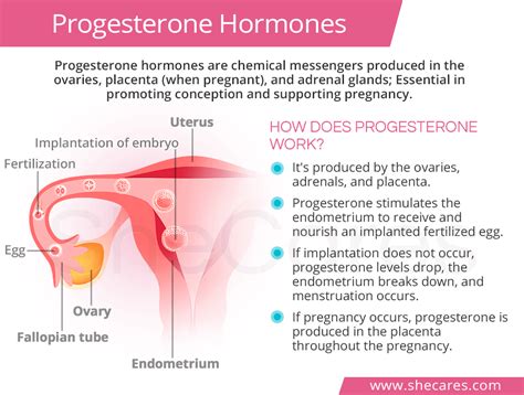 high progesterone levels