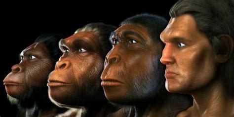 herramientas del paleolitico revelan la complejidad social de los hominidos periodista digital