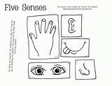 Senses Five Coloring Printable Pages Preschool Sense Worksheets Kindergarten Sinne Unit Printables Clipart Science Kids Pre Worksheet Activity Sheets Theme sketch template