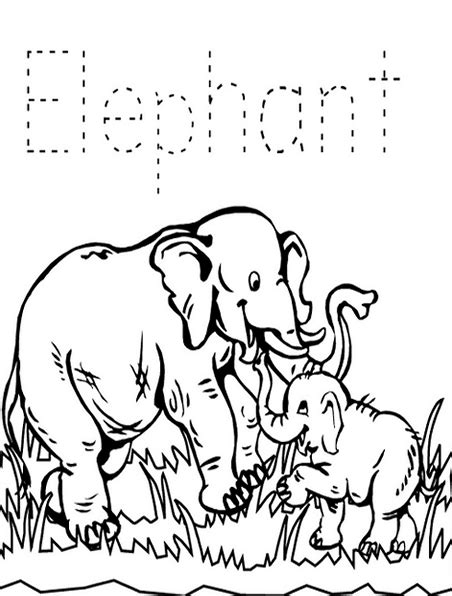 zoo animals kids coloring pages   colouring pictures  print