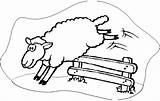 Sheep Fence Counting Jumping Coloring Over Clipart Pages Sleep Drawing Printable Quality High Gif Cliparts Cant Color Kids Use These sketch template