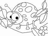 Ladybug Coloring Pages Bug Printable Colouring Cute Ladybird Lady Drawing Color Girl Kids Sheet Animals Ladybugs Print Toddlers Getcolorings Lightning sketch template