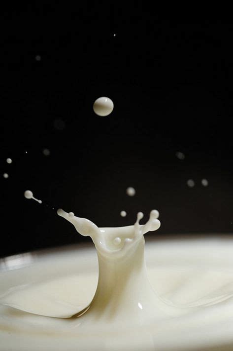 15 best milk photography images milk photography photography in