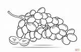 Grapes Coloring Drawing Bunch Grape Raisins Pages Printable Clipart Line Collection Drawings Some Color sketch template