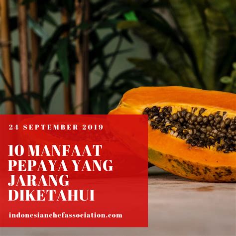 Article 10 Manfaat Pepaya Yang Jarang Diketahui Indonesian Chef Hot
