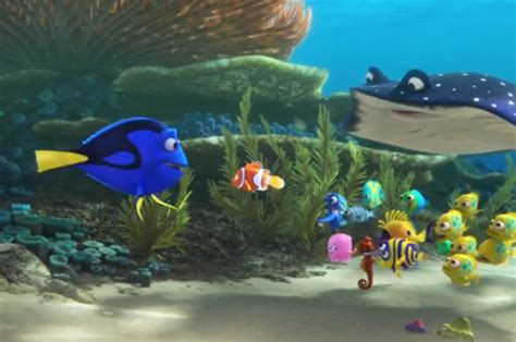 finding nemo sequel finding dory trailer released daily star