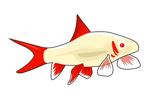 fish illustrations graphic  graphicrun creative fabrica