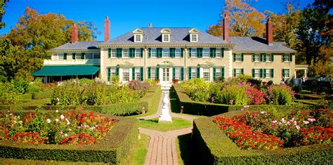 essential items   luxury garden  estate homes sky  properties