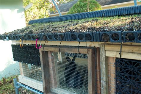 kevin songer green roof design   rabbit hutch urban