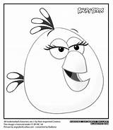 Coloring Angry Bird Terence Birds Matilda Popular sketch template