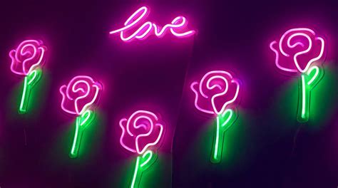 pink    day pink neon roses  worley gig