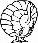 Cooked Turkeys sketch template