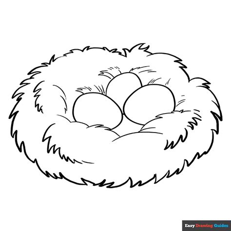 bird nest coloring page easy drawing guides