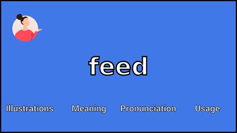 feed meaning  pronunciation youtube