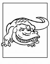 Coloring Pages Florida Gators Gator Colouring Head Popular sketch template