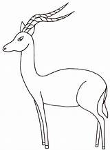 Impala Coloring Pages Animal Drawing Animals Antelope Color Printable Colouring Drawings Print Simple Animaux Sauvages Sheet Getdrawings Gif Designlooter African sketch template