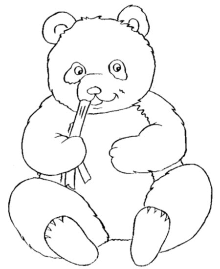 cute panda bear coloring pages  kids disney coloring pages