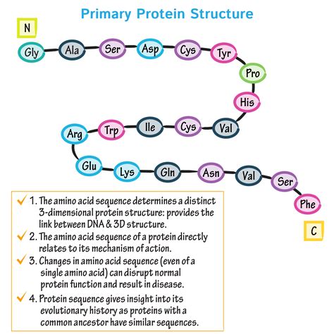 mcat biology biochemistry glossary protein structure class