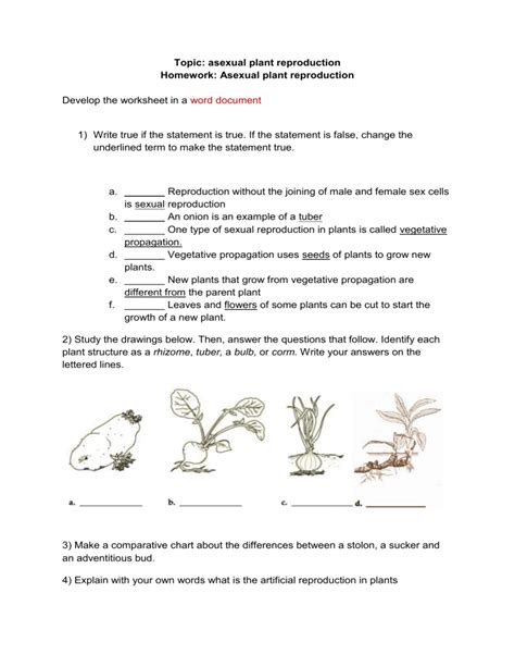 asexual plant reproduction worksheet