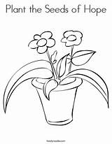 Coloring Plant Hope Seeds Flowers Print Favorites Login Add Ll sketch template