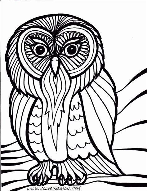 owl coloring pages  printables printable coloring pages