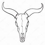 Horns Longhorn Stier Schedel Schets Tribal Skeleton Clipartmag Cattle Stockillustratie sketch template