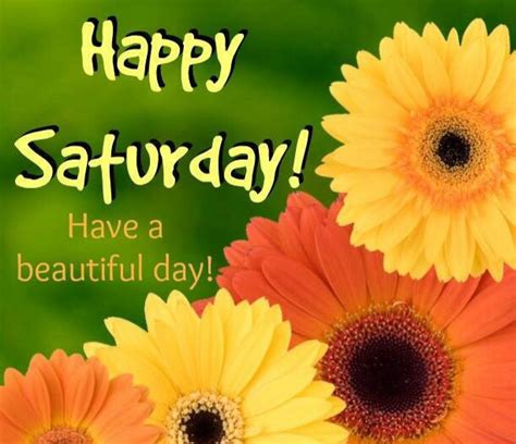happy saturday   beautiful day pictures   images