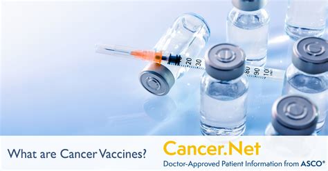 What Are Cancer Vaccines Cancer Net