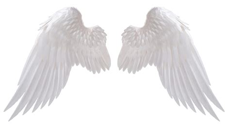 angel wings png angel wings png  image  angel wings png