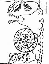 Snail Caracol Schnecke Caracoles Kostenlos Slak Ausdrucken Ausmalbilder Malvorlagen Ausmalen Pintar Ausmalbild Schnecken Slug Coloriage Escargot Wild Hellokids Insect Sheets sketch template