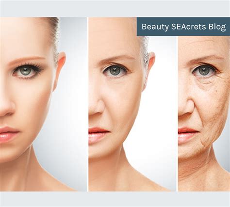 skin aging  facts     repechage