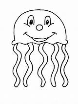 Jellyfish Medusa Qualle Quallen Malvorlagen Pintarcolorir Malvorlage Cliparts sketch template