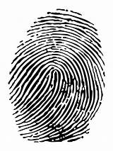 Fingerprint Transparent Clipart Background Symmetry Spiral Monochrome Library Clip Pngwing Drawing sketch template